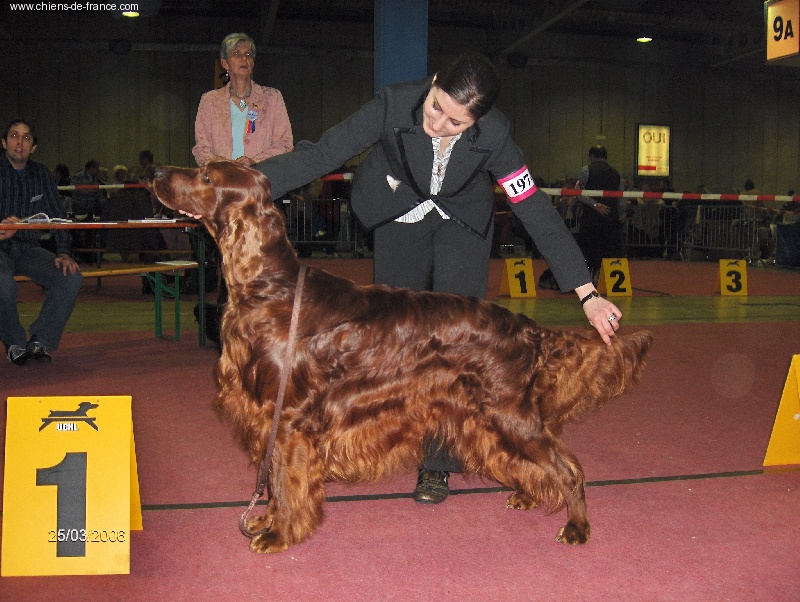 Trawricka - New Champion at the Show/Expo Int de Luxembourg