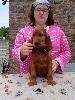  - Les chiots ont 7.5sem/pups are now 7.5weeks