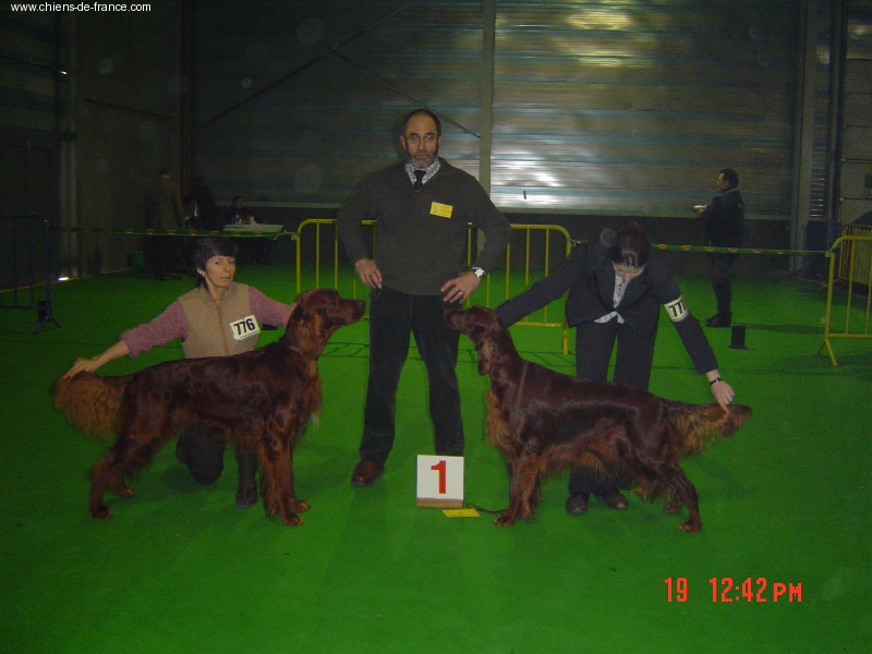 Trawricka - Champion Charmed à l'Expo /Show Int Tongres/Another Group win for Ch. Charmed