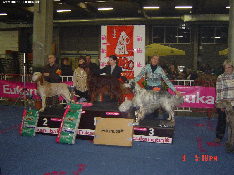 Trawricka - Expo Int. d'Anvers/Charmed gagne encore/ Antwerp show Charmed wins again
